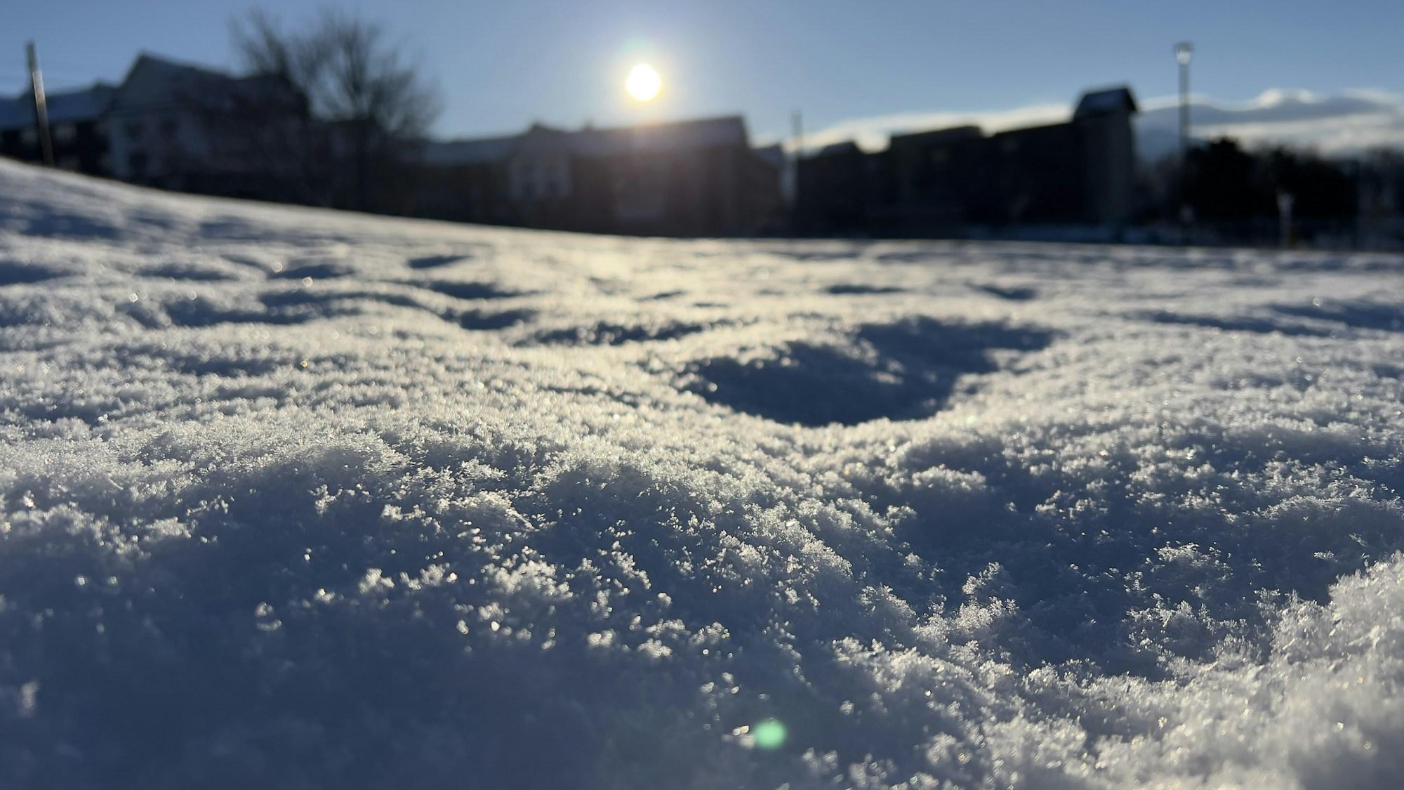 Winter sunlight over snow-covered ground in Salt Lake City